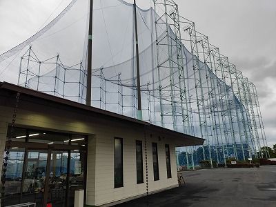 ☆完全予約制☆八尾市発‼ DAELIM B−bone 125㏄ FI