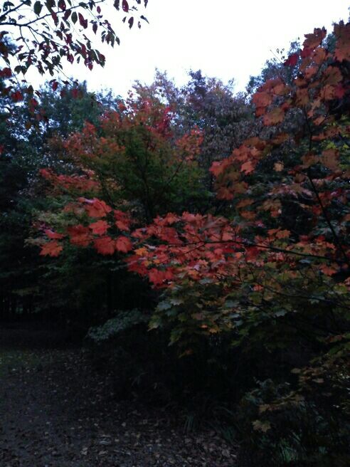 rblog-20151020214328-04.jpg