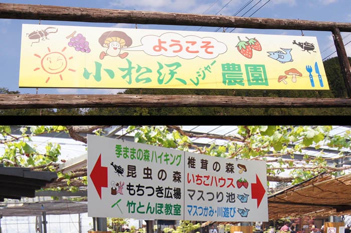 アキシカ