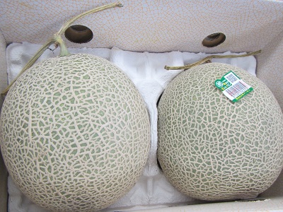 果物９メロン.jpg