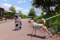 20150521あやしいヤツ
