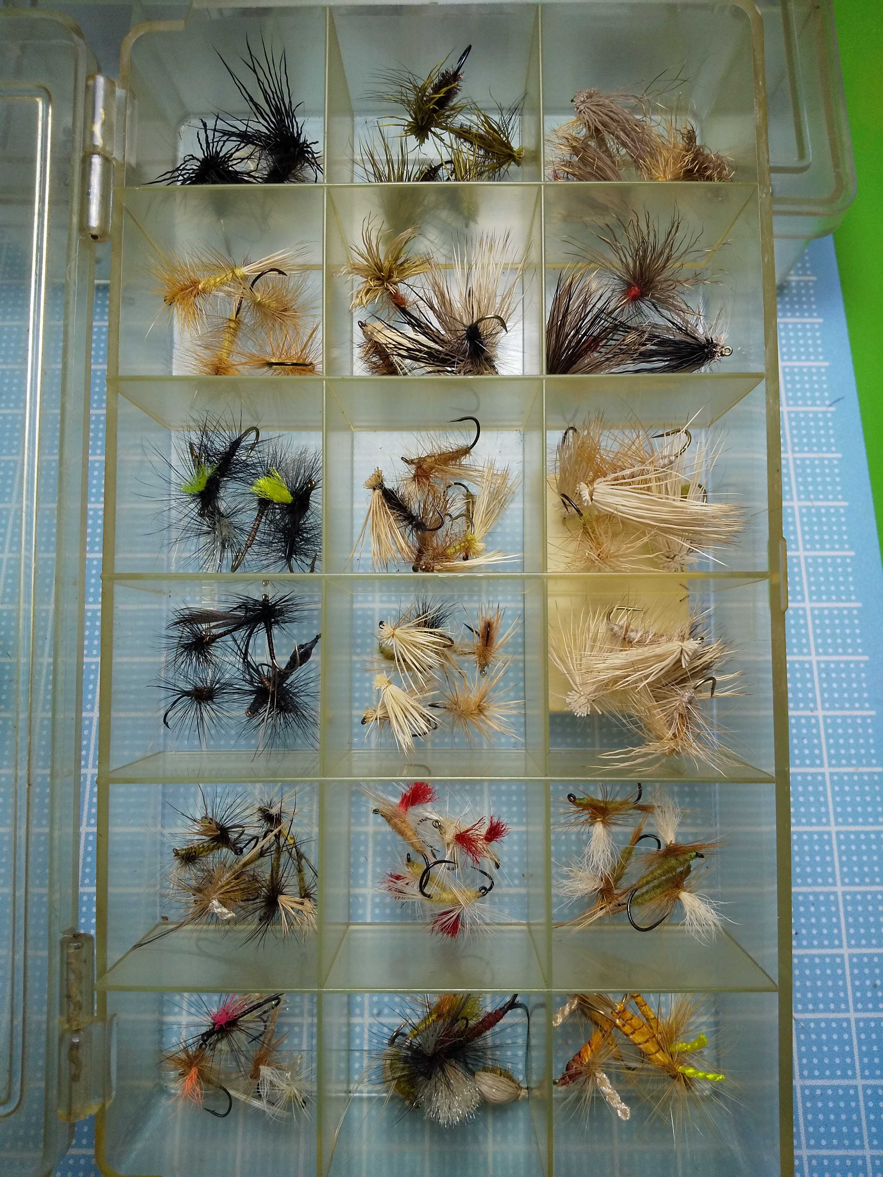 新着記事一覧 北海道のフライタイヤー 楽天ブログ