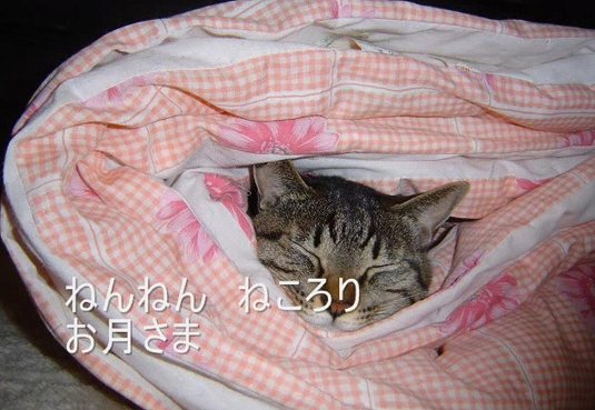 ねころり