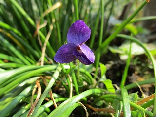 IMG_9389ss.jpg