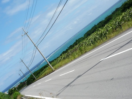 2012.05.29石垣島32.jpg