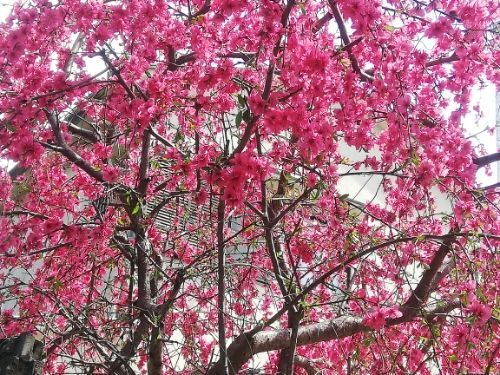 rblog-20190405160312-01.jpg