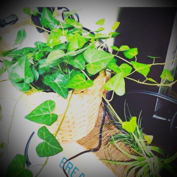 rblog-20160711213222-01.jpg