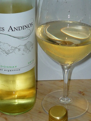 Aires Andinos Chardonnay 2012 glass.jpg