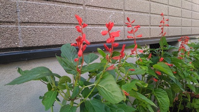 P_20170918_160829.jpg