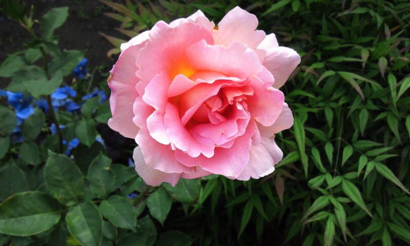 2012-05-24 09:59:36