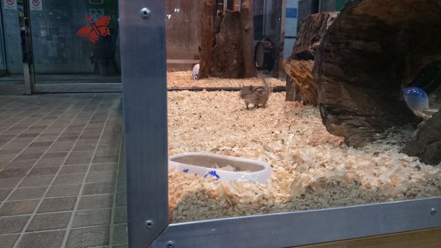 2015-06-12 19.04.09.jpg