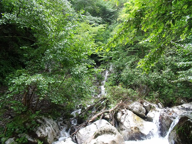 岐阜県　根尾