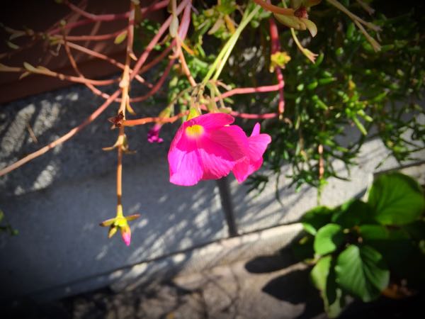 rblog-20151025173233-04.jpg