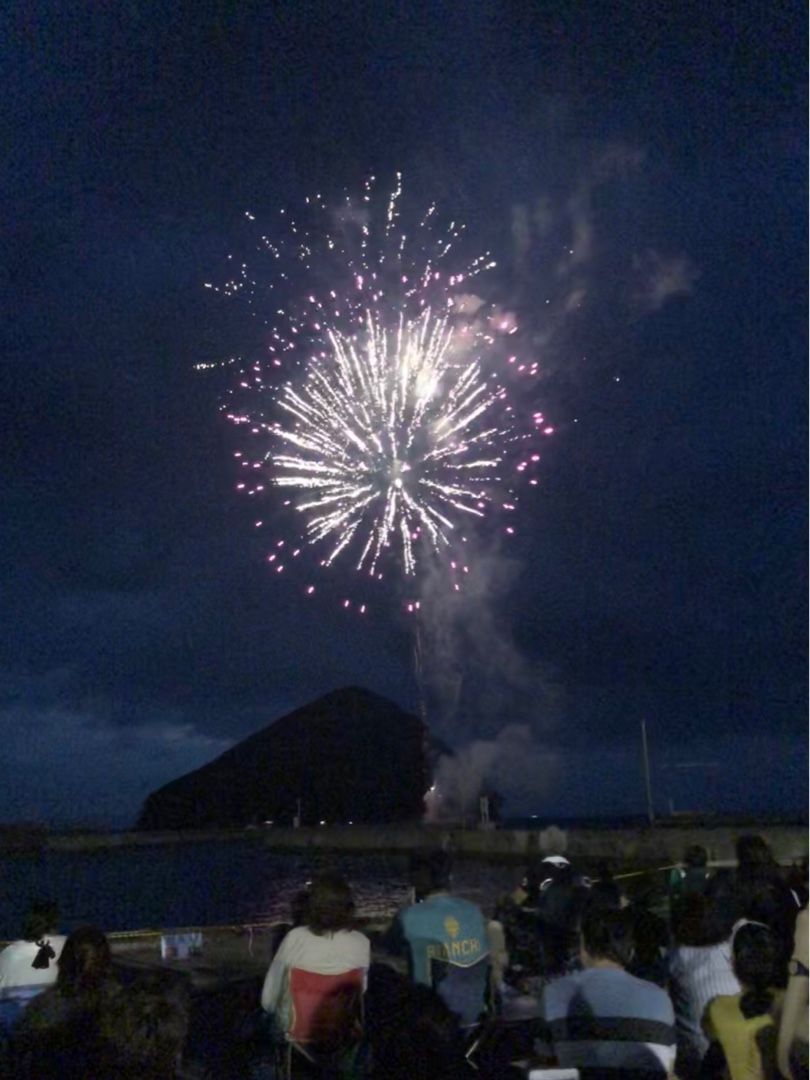 浅虫温泉花火大会 ひなちゃん週末の旅 楽天ブログ