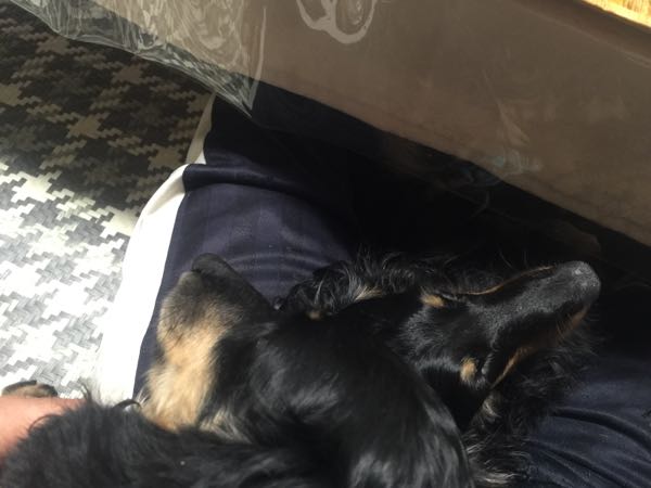 rblog-20161004050540-07.jpg