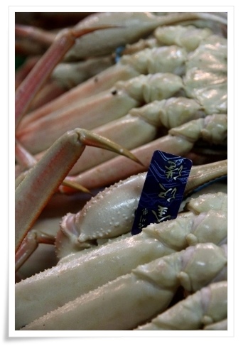 いきいき魚市-9 13.12.29