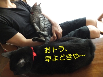 20120920_2.jpg