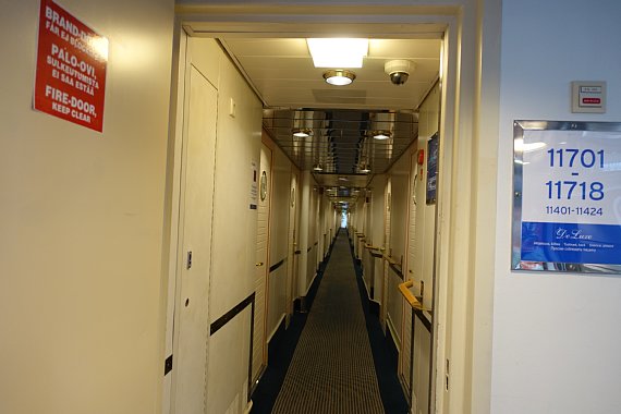DSC01393sh2015.jpg