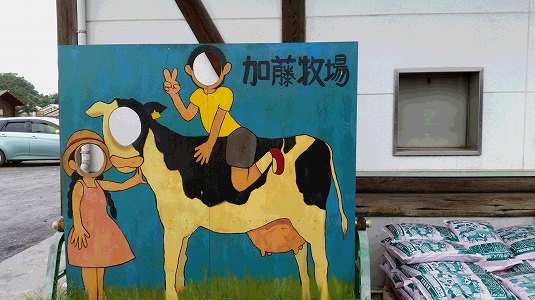 加藤牧場の牛さんと記念撮影！
