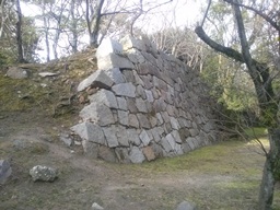 IMG01652.jpg