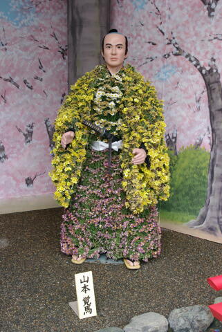 湯島天神 菊まつり