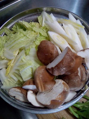 材料