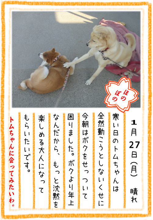 0127朝8.jpg