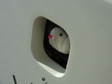 RIMG0235.JPG
