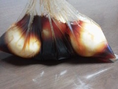 12-02-11_003.jpg