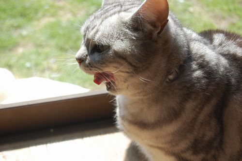 DSC_0080.JPG