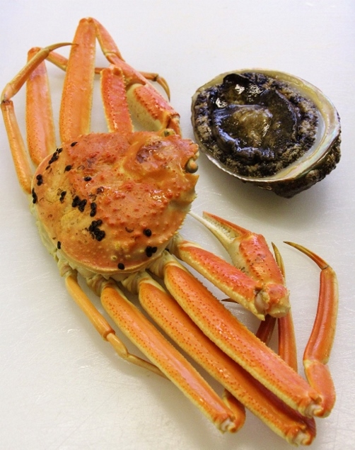 松葉蟹　あわび.jpg