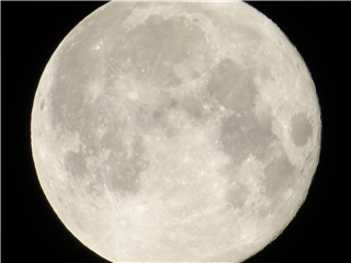 IMG_1219.png