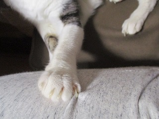 IMG_3692ss.jpg