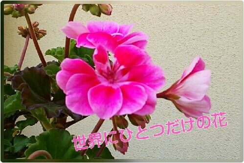 rblog-20160507111233-00.jpg