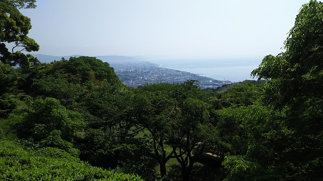 DSC_0819.jpg