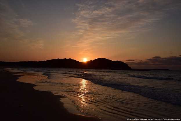 ドールはリオでワクチン接種のボランティアを募集。参加方法を調べる