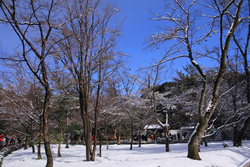 金閣寺_009雪景色.jpg