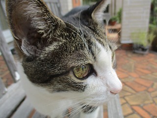 IMG_8484ss.jpg