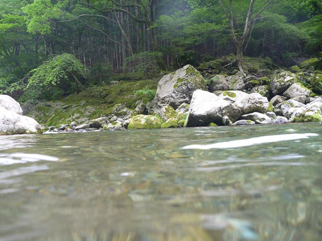 resize0014.jpg