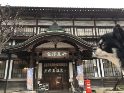 20180106竹瓦温泉