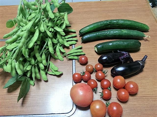 20160625収穫.jpg