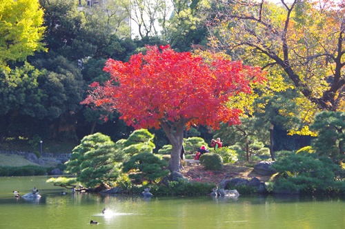 清澄庭園