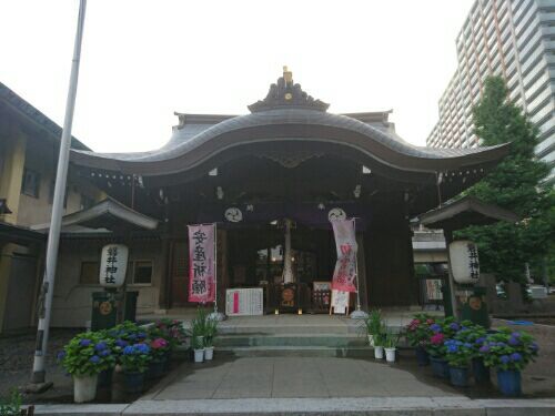 rblog-20180620000906-03.jpg