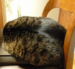 P1120048-ass.jpg