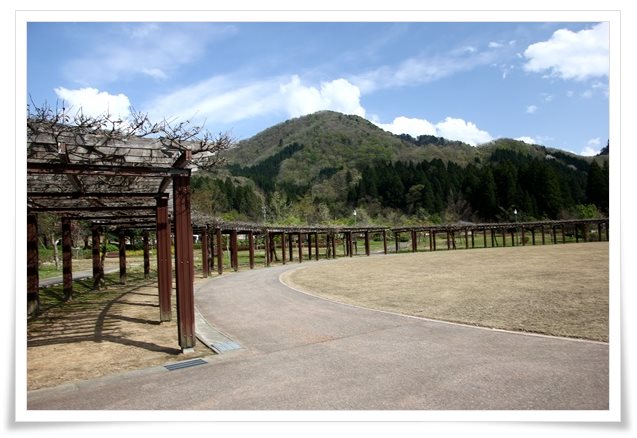 吉岡園地-2 15.4.22