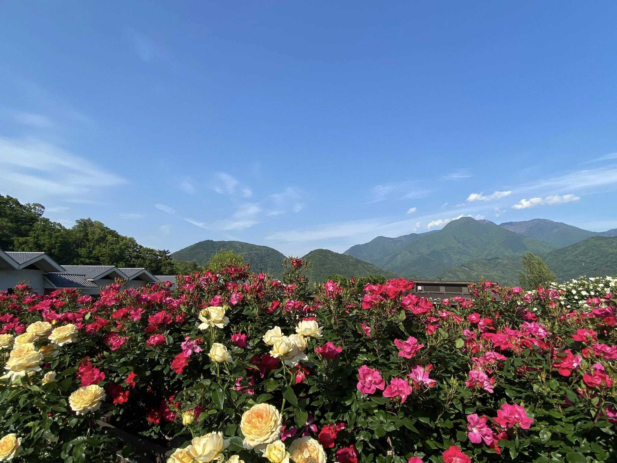 醍醐山と下部（しもべ）温泉