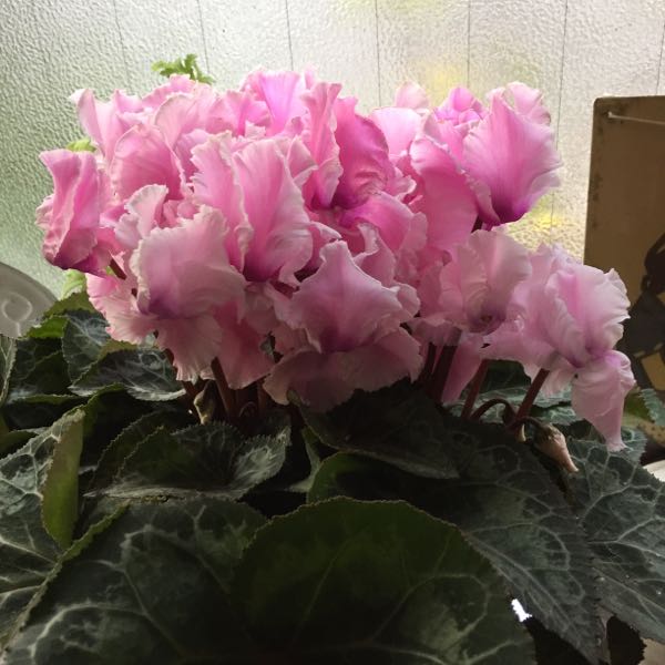 rblog-20160111210907-01.jpg