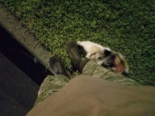 rblog-20180828002655-05.jpg