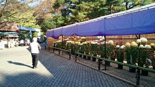 rblog-20171113175553-03.jpg