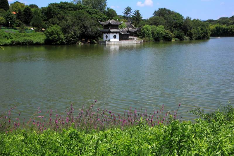 花博記念公園鶴見緑地_006.jpg